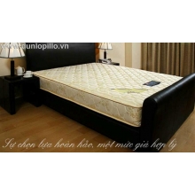Nệm Lò Xo 6
