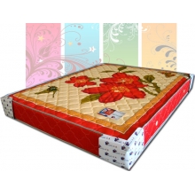 Nệm Lò Xo 1